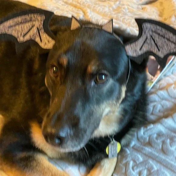 Offers‎ Welcome - Picture 5 of 10